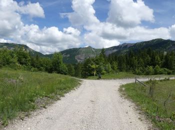 Randonnée Marche Boulc - La Pare par Boulc - Photo