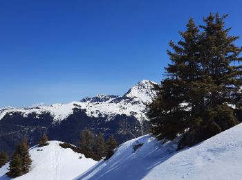 Excursión Senderismo La Chapelle-du-Bard - Col de l'Occiput en raquettes - Photo