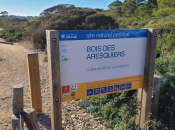 Tour Wandern Frontignan - les Aresquiers du 05-02-2024 - Photo