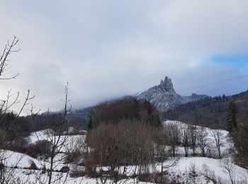 Randonnée Marche nordique Seyssins - Seyssins le haut - Les Arcelles dans la neige - Photo