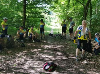 Tocht Mountainbike Magny-le-Hongre - Malvoisine 65km - Photo