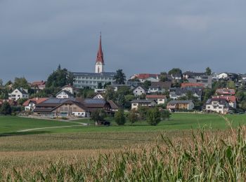 Excursión A pie Neumarkt im Mühlkreis - Kempfendorer Berg Rundwanderweg - Photo