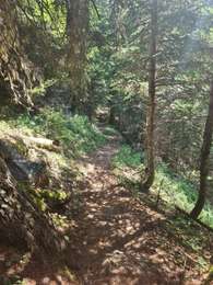 Tour Wandern Pralognan-la-Vanoise - Pralognan 2025-07-13 Col de Napremont - Photo
