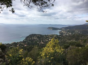 Randonnée Cyclotourisme Rayol-Canadel-sur-Mer - Rayol Canadel, Col du Canadel  - Photo