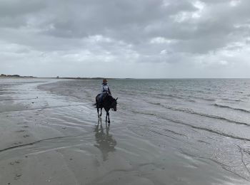 Tocht Paardrijden Sarzeau - Plage Jérôme  - Photo