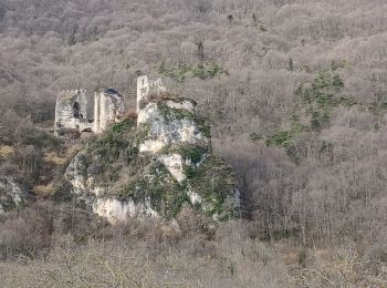 Randonnée Marche La Motte-Fanjas - Château de Rochechinard  - Photo