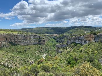 Randonnée Marche Minerve - Gorges de Minerve  - Photo