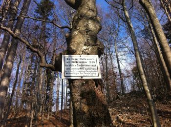 Trail On foot Gemeinde Pottenstein - Pottenstein - Geyersattel - Hohe Mandling - Photo