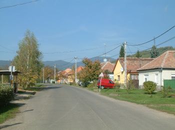 Percorso A piedi Szokolya - K↺ Tóvik vendégház - Photo