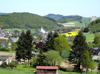 Tocht Te voet Meschede - Berge Rundweg B2 Braberg - Photo