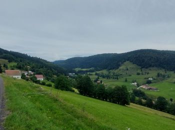 Randonnée Vélo électrique Xonrupt-Longemer - les crêtes col de la schlucht - Photo