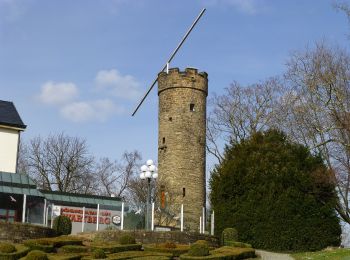 Tocht Te voet  - Heilbronner Rundwanderweg 1 - Photo