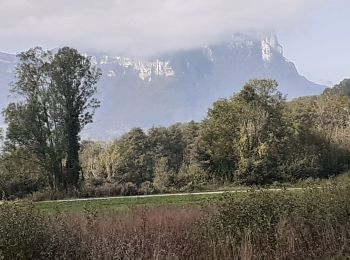 Trail Walking Les Mollettes - st helene boucle G1 - Photo