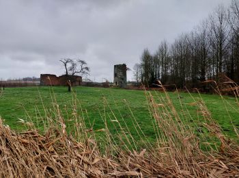 Randonnée Marche Péruwelz - CALLENELLE _ Marche Fédérale _ HAIT _ 8/01/2022 - Photo