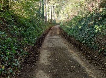 Percorso Marcia Lennik - Château de Gasbeek - Photo