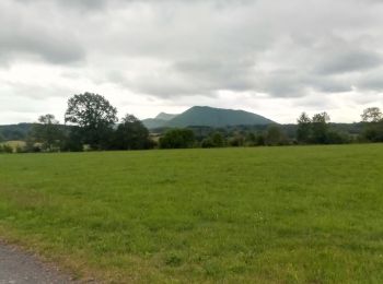 Excursión Bici de montaña Villeneuve-les-Cerfs - beauregard - Photo