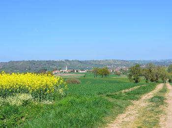 Percorso Marcia Saint-Quintin-sur-Sioule - St_Quintin_Source_Charponne - Photo