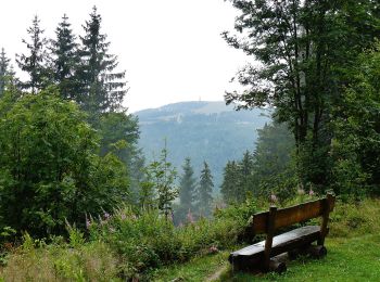 Excursión A pie Feldberg - Altglashütten - Feldberg-Caritashaus - Photo