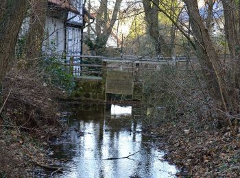 Excursión A pie Detmold - Rundwanderweg A5 [Berlebeck] - Photo