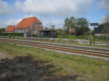 Percorso A piedi  - Bølling Sø rundt - Photo