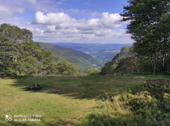 Trail Walking Ranspach - Le Markstein - Photo