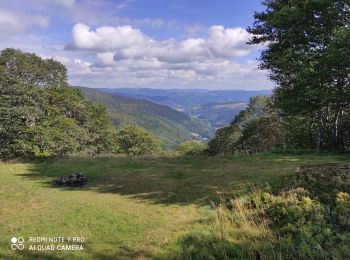 Randonnée Marche Ranspach - Le Markstein - Photo