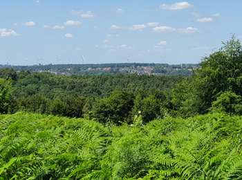 Tour Wandern Nandrin - boucle bois d'Ombret et ruisseau du fond d'Oxhe - Photo