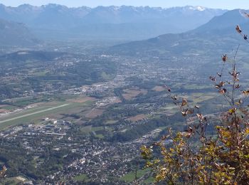 Trail Walking Le Bourget-du-Lac - dent du chat et mollard noir  - Photo