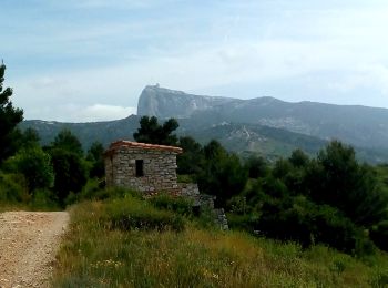 Tocht Mountainbike Gémenos - Jas de Miceau  en boucle depuis Gemenos - Photo