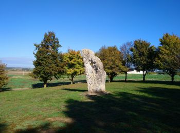 Tour Wandern Draché - Draché - GR655 Sainte-Maure-de-Touraine Marcé-sur-Esves - 26.4km 260m 6h00 (30mn) - 2022 10 08 - Photo