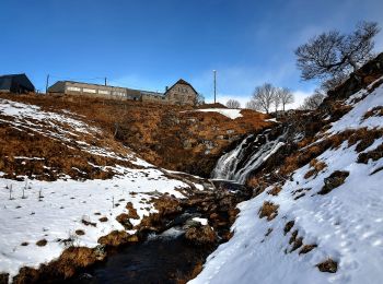 Trail On foot Picherande - Le Lac Chauvet - Photo