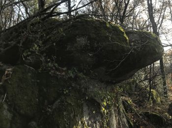 Randonnée Moto Allassac - Rocher du diable  - Photo