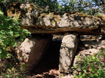 Tour Wandern La Cavalerie - St Eulalie de Cernon - Photo