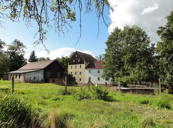 Tocht Te voet Boxberg/O.L. - Hamor - Wanderweg Gelber Strich - Photo