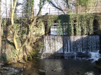 Excursión Senderismo Signy-le-Petit - Signy le petit  - Photo