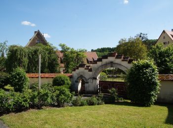 Excursión A pie Kirchensittenbach - Kirchensittenbach 5 - Photo