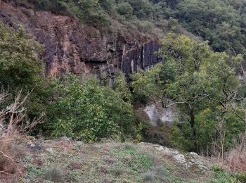 Excursión Senderismo Saint-Gineys-en-Coiron - St Gineys /Coiron - Photo