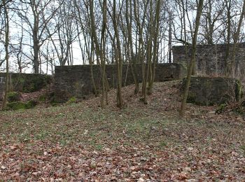 Percorso A piedi Gladenbach - Sebastian-Kneipp-Weg - Photo