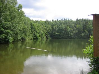 Randonnée A pied Argenthal - Traumschleife Schanzerkopf-Tour - Photo