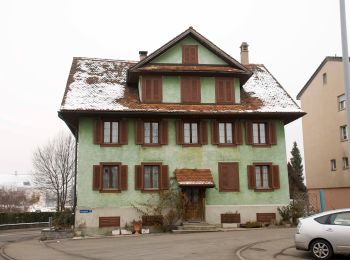 Randonnée A pied Hochdorf - Hochdorf - Römerswil - Photo