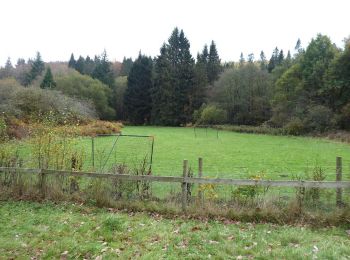 Randonnée A pied  - Bedburn Valley Walk - Photo