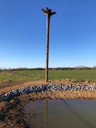 Excursión Senderismo Sprimont - Louveigne-Banneux 12 Km - Photo