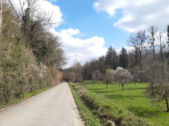 Randonnée Marche Aywaille - aywaille - martinrive a/r de part et d autre de l ambleve - Photo
