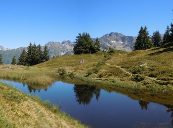 Trail On foot Le Haut-Bréda - Tour Pays Allevard - Photo