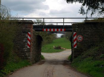 Randonnée A pied Helmstadt-Bargen - Rundwanderweg Helmstadt 1: Flinsbach-Weg - Photo