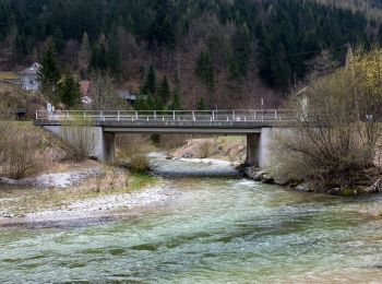 Percorso A piedi Gemeinde Schwarzau im Gebirge - Schnellerwagsteig - Photo