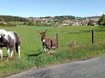 Tour Wandern Pradelles - Stevenson Pradelles - Le Cheylard l'Evèque - Photo