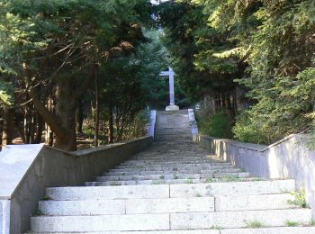 Percorso A piedi Mele - Masone-Sacrario dei Martiri del Turchino - Photo