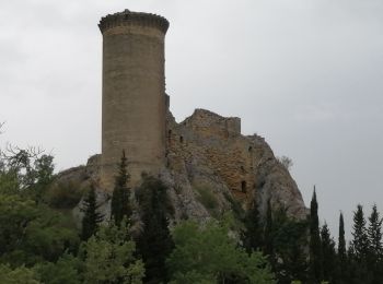 Randonnée Marche Châteauneuf-du-Pape - les bords du Rhône  - Photo