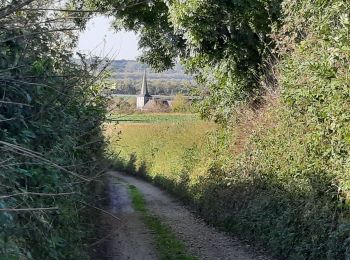 Tocht Stappen Voeren - boucle à mouland  - Photo